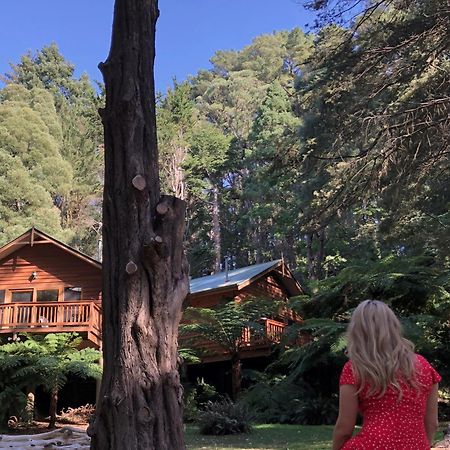 Chudleigh Park Cottages Sassafras Bagian luar foto