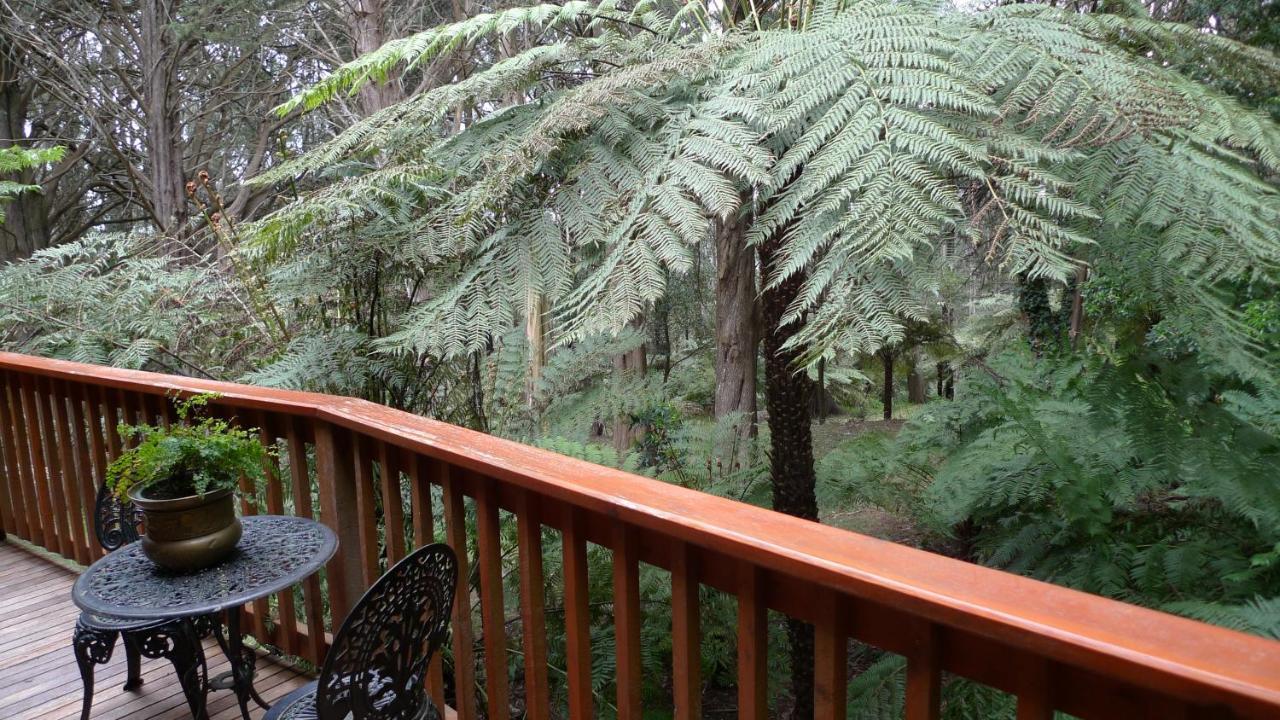 Chudleigh Park Cottages Sassafras Bagian luar foto