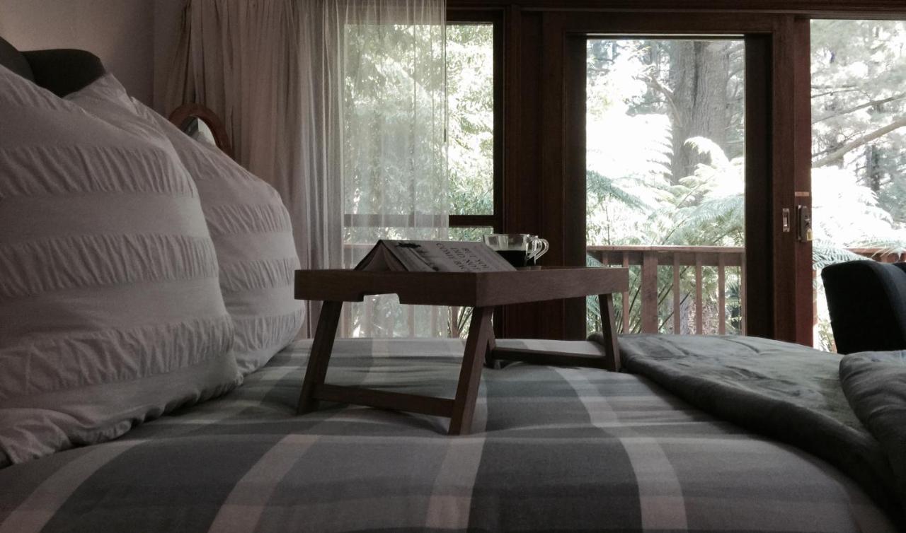 Chudleigh Park Cottages Sassafras Bagian luar foto