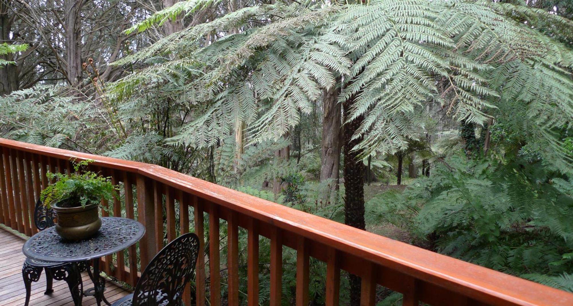 Chudleigh Park Cottages Sassafras Bagian luar foto