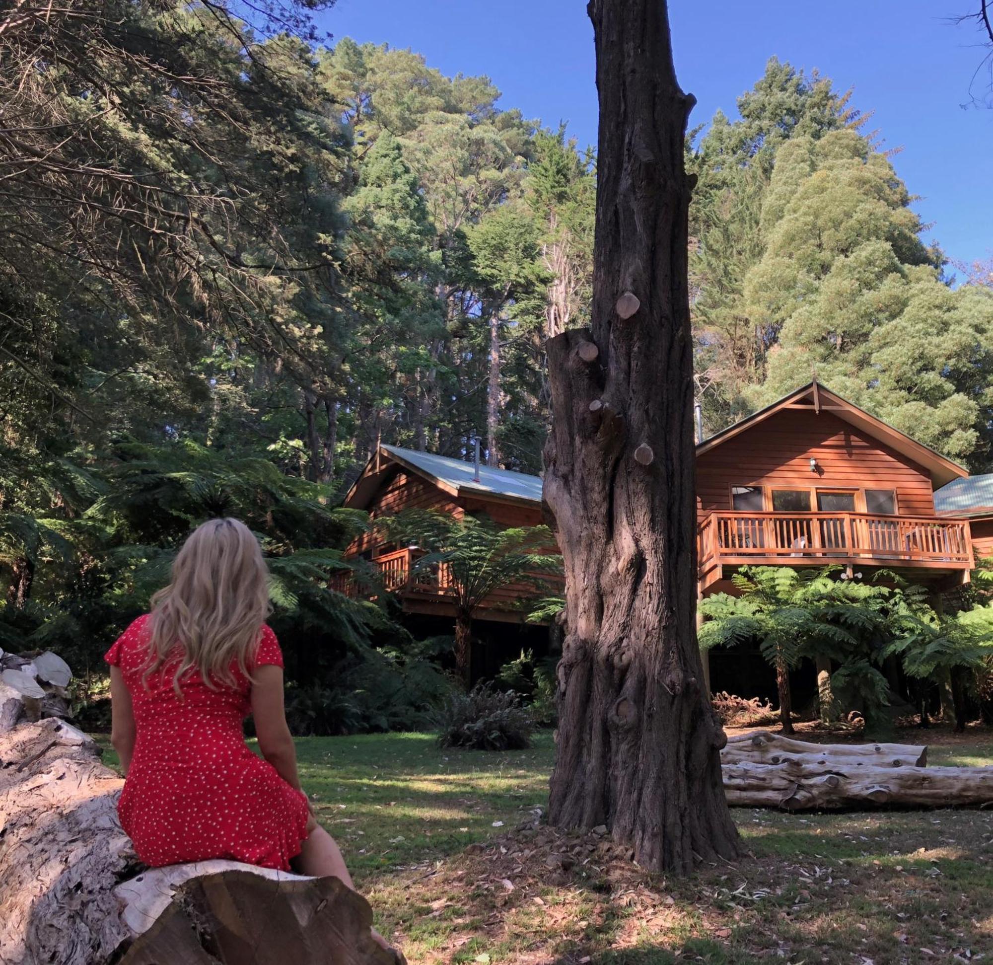 Chudleigh Park Cottages Sassafras Bagian luar foto